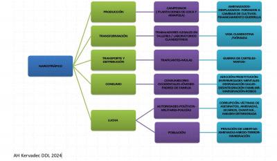 Capture consecuencias narco 2024