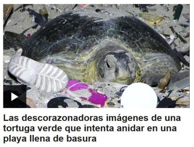 Capturetortuga