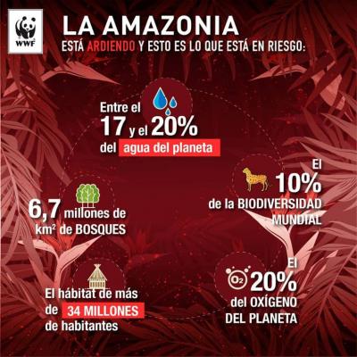 Infografia de wwf sobre amazia