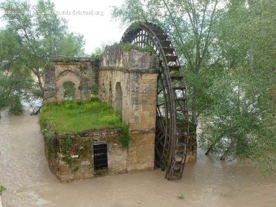 Noria del molino de la albolafia en cordoba 16330