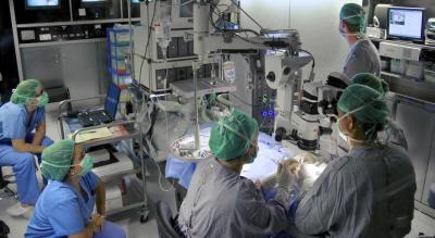 Una ciega recupera parte de la vision gracias a la implantacion de microchip